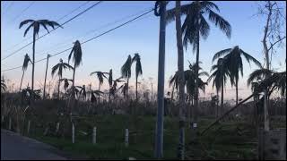 SUPER TYPHOON ODETTE HITS BOHOL  ROAD UPDATE SAGBAYAN  CARMEN  BILAR [upl. by Abigale]