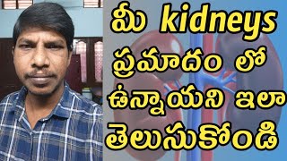 కిడ్నీ రిస్క్ లో ఉందని ఎలా తెలుసుకోవాలి  how to know kidney failure symptoms [upl. by Anitsahs359]