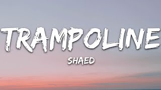 SHAED  Trampoline Lyrics [upl. by Chil]