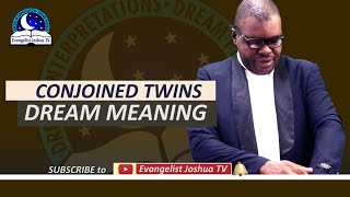 Conjoined or Siamese Twins Dream Meaning [upl. by Adelric]