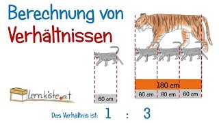 Verhältnisse berechnen  Bruchrechnung Verhältnisse kürzen und Verhältnisgleichung [upl. by Ulrick]