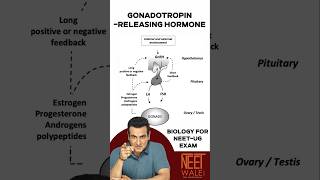 Gonadotropin Releasing Hormone GnRH  Human reproductive system  Class 12  NEET Biology neet [upl. by Anavas906]