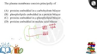 The plasma membrane consists principally of [upl. by Eduino]