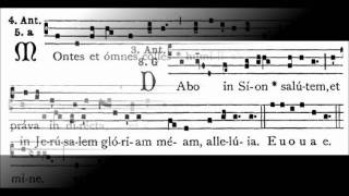 Solemn Latin Vespers for Gaudete Sunday [upl. by Mintz114]