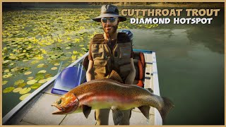 The ANGLER  Diamond Cutthroat Trout Hotspot [upl. by Notyalc]