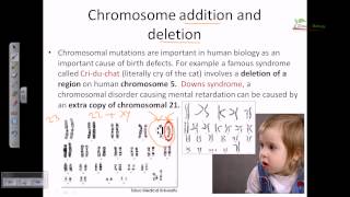 Chromosomal mutation [upl. by Hightower]