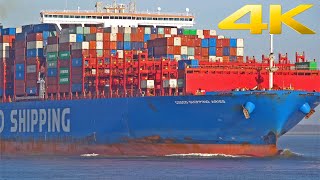 5 HOURS MARINE TRAFFIC WESTERN SCHELDT FROM AND TO ANTWERP WITH SHIP DETAILS  4K SHIPSPOTTING 2023 [upl. by Eibor]