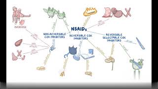 quotMECHANISM OF ACTION OF NSAIDSquot  Non Steroidal Anti Inflammatory Drugs [upl. by Viveca]