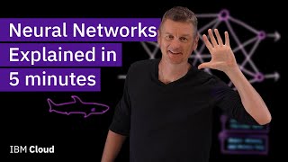 Neural Networks Explained in 5 minutes [upl. by Burch]