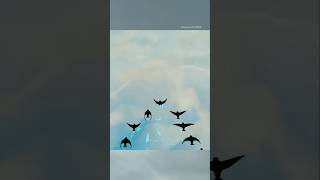 Why Birds fly inquotVquotshapebirds nature fly explore shorts education hindi fypシ゚ amazingfacts [upl. by Violeta]