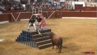 2º TORO I CONCURSO DE GANADERIAS EN CASCANTE NAVARRA 27052012 [upl. by Nnarefinnej]