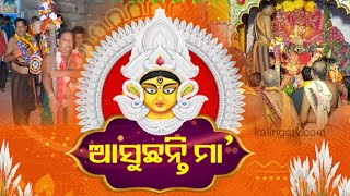 Shodasa Dinatmaka puja ritual begins at Maa Biraja temple in Jajpur  Kalinga TV [upl. by Nnaj]