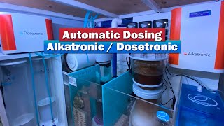 Automatic Saltwater Aquarium Dosing  Alkatronic amp Dosetronic [upl. by Diad]