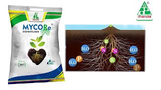 Mycore  Plant Growth Regulator  HD TVC [upl. by Sholley]