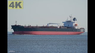 MOSSEL BAY  Shipspotting Germany 🇩🇪 IMO 9970375  River Elbe near City Otterndorf  4K VIDEO [upl. by Vicki]