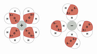 Estructura química del agua [upl. by Nniroc]