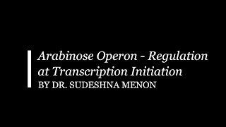 Arabinose Operon Regulation at Transcription Initiation [upl. by Deaner]