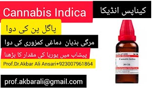 Absurd mentle level Nervous weaknesses پاگل پن اور اعصابی کمزوری ا Homeopathic Cannabis indica 30 Q [upl. by Malinowski]