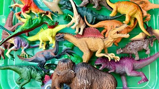 Mô hình động vật học tên Khủng Long Learn Jurassic Dinosaur toys and their names and [upl. by Godart]