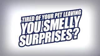 Tired of Your Pet Leaving you Smelly Surprises OdoBan in Canada [upl. by Nwahc]