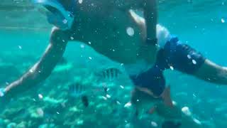 Makadi Bay Snorkelling [upl. by Annoved]