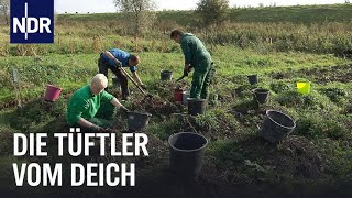 Forschen fürs Klima Das Ökowerk in Ostfriesland  Die Nordreportage  NDR Doku [upl. by Abla597]