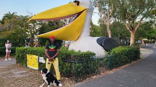 Noosaville Queensland Australia  Noosa Walking Tour with Ambient Sounds [upl. by Ellebana256]