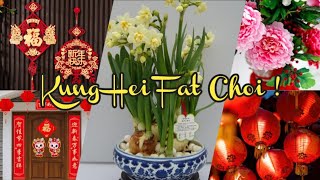 CHINESE NEW YEAR DECORS AND ITS MEANING  YEAR OF THE DRAGON [upl. by Ardnahs171]