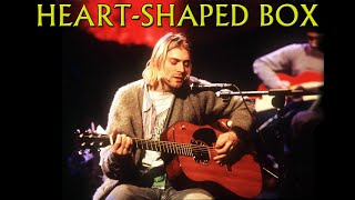 Nirvana  HeartShaped Box MTV Unplugged [upl. by Mikal]