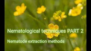 Nematological techniques PART II [upl. by Jordison]