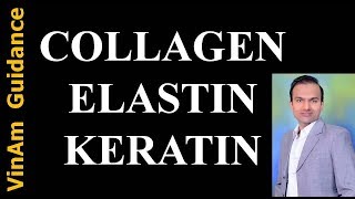 Collagen Elastin and Keratin [upl. by Sigrid]