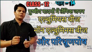 एल्बुमिनस और नॉन एल्बुमिनस बीज  परिभ्रूणपोष class 12 Biology भाग14bionama [upl. by Halludba944]