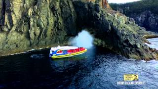 Bruny Island Cruises in 60 Seconds [upl. by Orgell884]