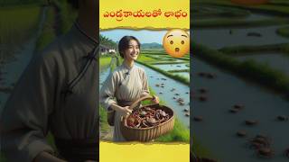 Amazing Crab Farming  farming awakenfacts shortsfeed shorts shortvideo telugu [upl. by Kcajyllib]