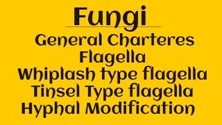 General Charteres of Fungi Part 2trendingmsctgtpgtytbiologyfungiflagellahyphalmodification [upl. by Nnayllas]