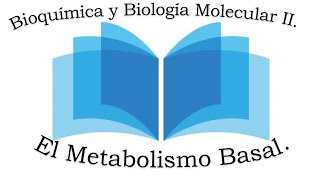 El Metabolismo Basal Bioquímica y Biología Molecular II [upl. by Eilegna448]