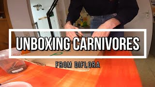 Unboxing unusual and rare sundews from Diflora Italy 🇮🇹 [upl. by Lilak951]