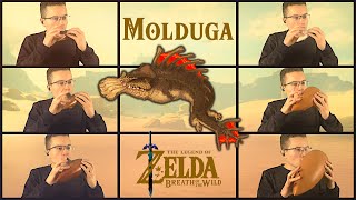 Molduga Breath of the Wild  Ocarina Septet Cover [upl. by Rapsac556]