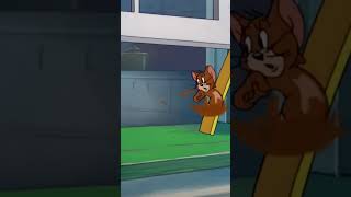 Tom and Jerry cartoon cartoonvideo shorts shortsfeed [upl. by Merdith]