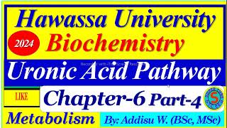 Uronic Acid Pathway carbohydrates metabolism uronicacid pathway biochemistry part4 biology [upl. by Sabba1]