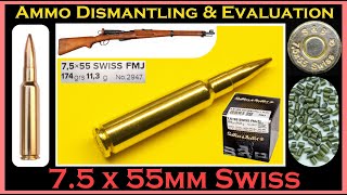 75x55mm Swiss Sellier amp Bellot 174gr FMJ  V342512  SB7555A Ammo Dismantling amp Evaluation [upl. by Yerahcaz]