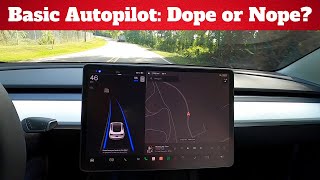 Tesla Basic Autopilot Features  What Does It Really Do [upl. by Baruch649]