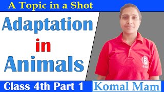 Adaptation in Animals Class 4 Part 1  BIG20 [upl. by Fenella]