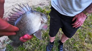 EPIC Fishing In The Murray River At Tocumwal Including Yellowbelly And Silver Perch [upl. by Tommi]