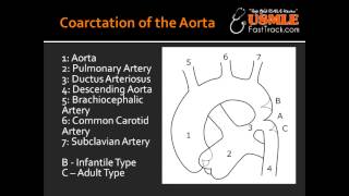 Coarctation of the Aorta  Infantile type amp Adult type [upl. by Noid123]