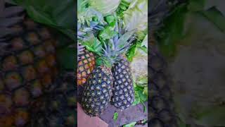 Natures Bromelain ampVit C Enabler Pineapple pineapple fruit healthydiet healtheducation [upl. by Idnal]