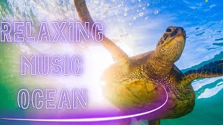 RELAXING MUSIC  OCEANO  OCEAN music petlover song inteligenciaartificial [upl. by Enixam]