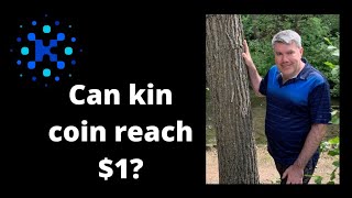 Everything You Ever Wanted to Know About Can Kin Coin Reach 1 [upl. by Autumn]