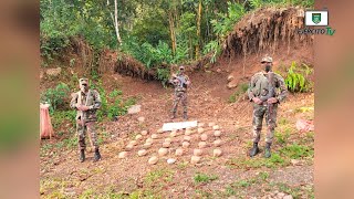 1 Comando Militar Regional incautó 33 paquetes de marihuana en el municipio de Jalapa [upl. by Kaliski]