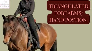 Triangulated Forearm Position  Hand Position  Western Dressage  Dressage [upl. by Nhtanhoj]